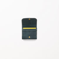 DUAL FACE / BlueGreen