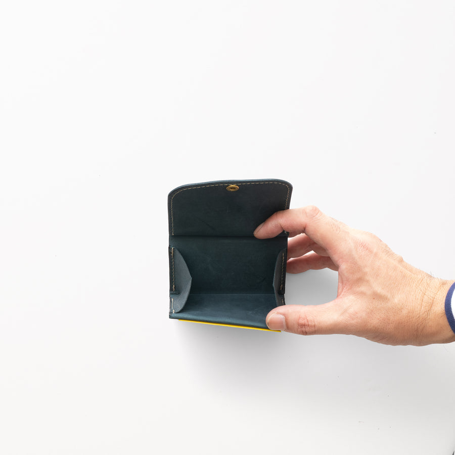 DUAL FACE / BlueGreen